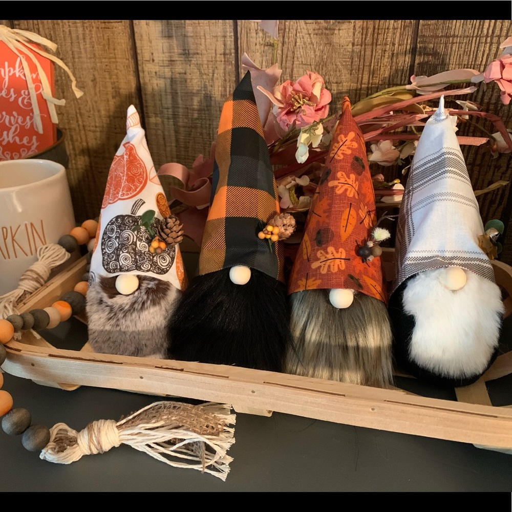 Handmade fall gnomes 🍂